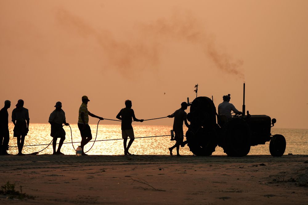 Photograph by PRABATH MANJULA GUNASEKARA