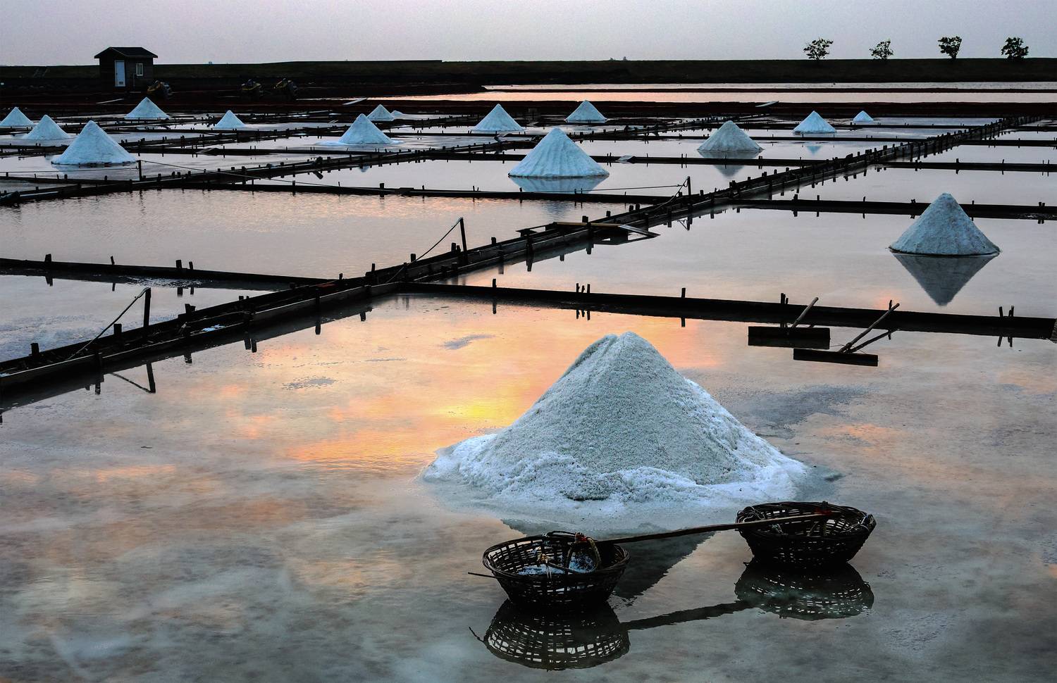 Harvesting the Twilight 