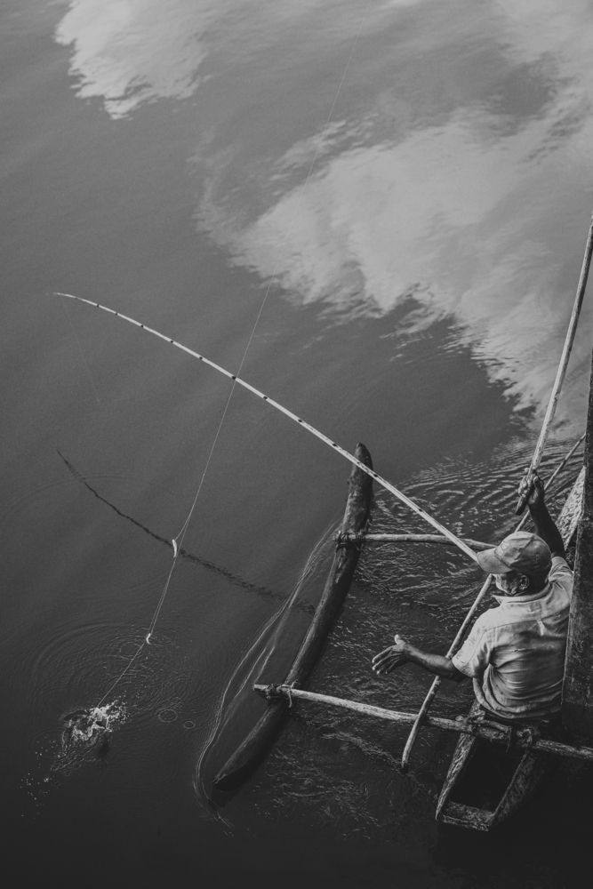 Photograph by PRABATH MANJULA GUNASEKARA