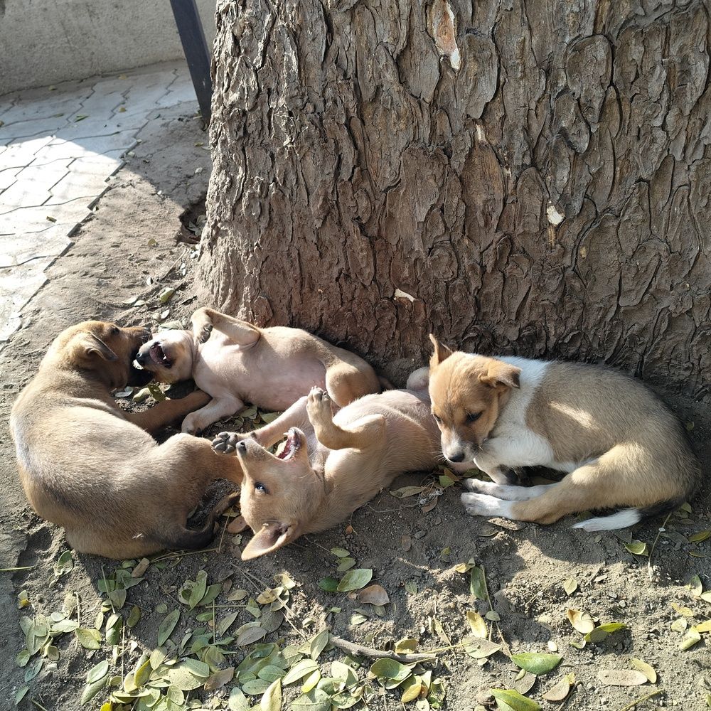 Photo #13448873