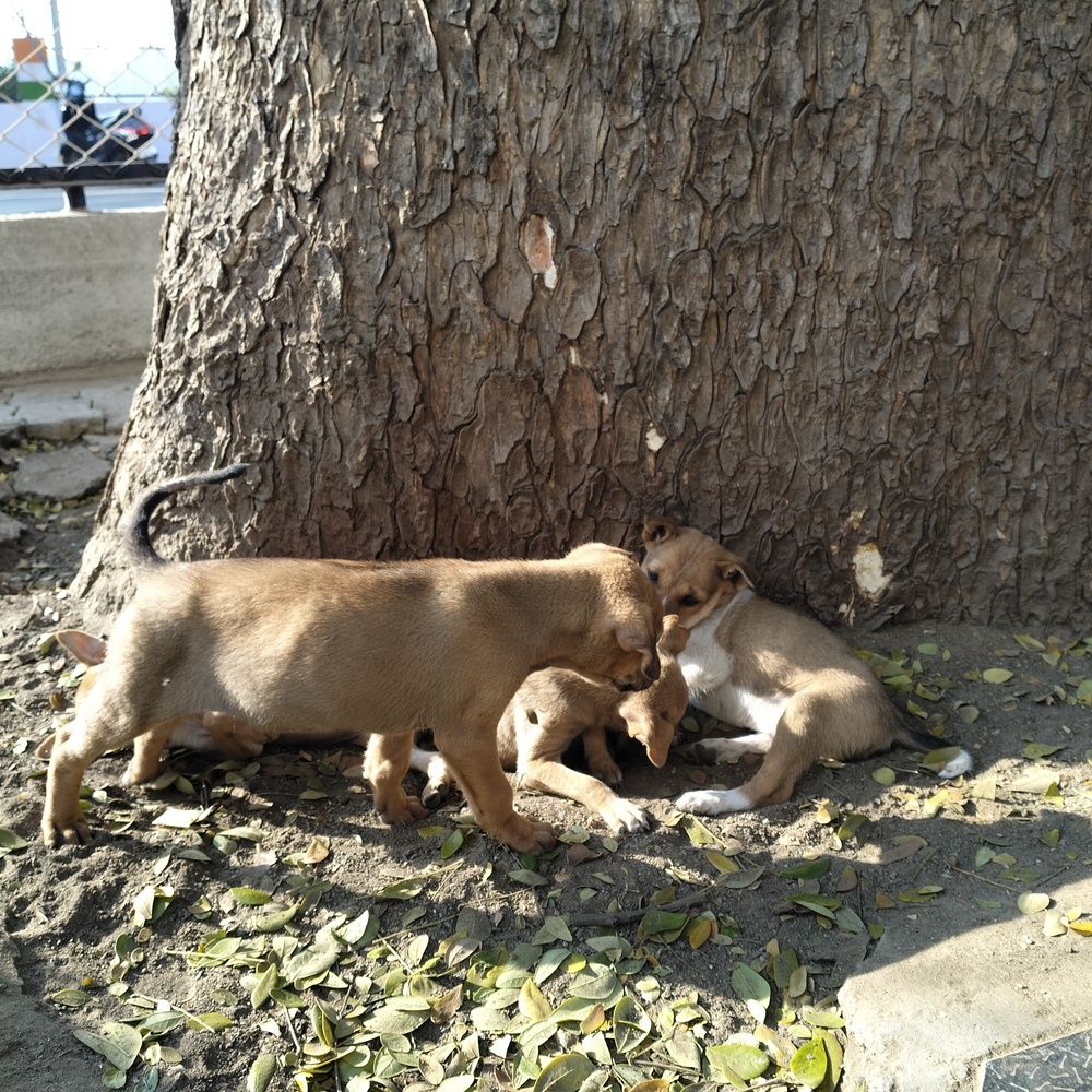 Photo #13448885