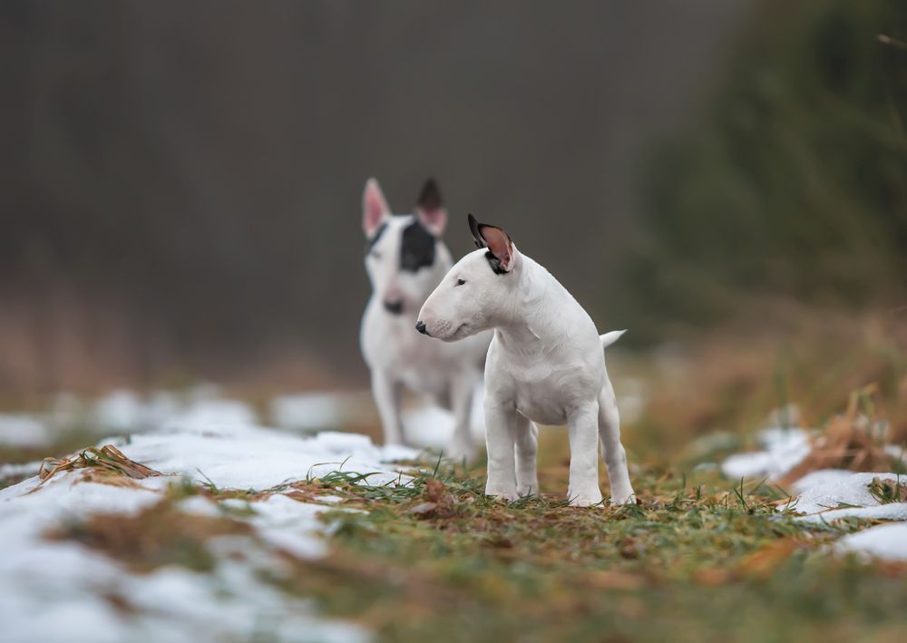 Photograph by Алёна Кузьминская
