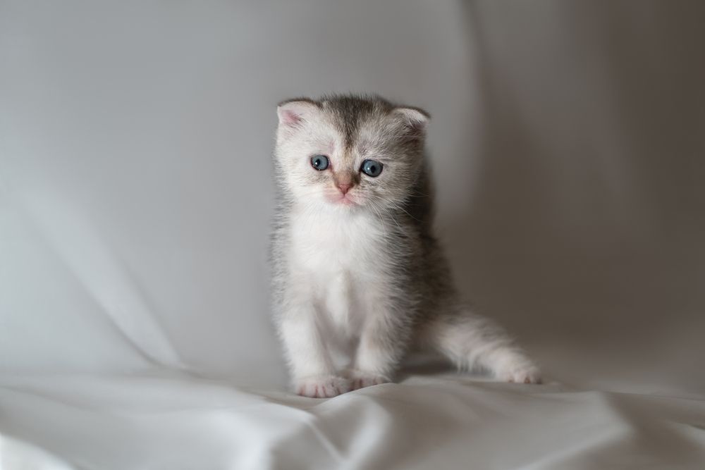 Photograph by Валентина Найдюк