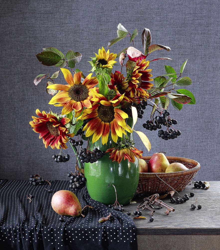 Августа краски