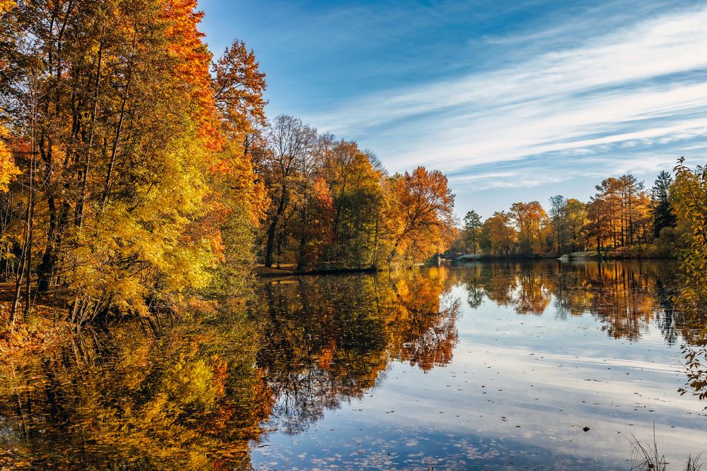 Photograph by Волков Алексей