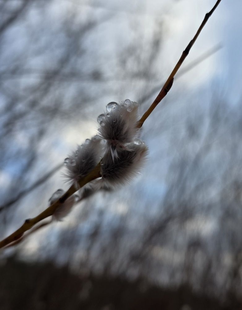 Photograph by Инна Савичева