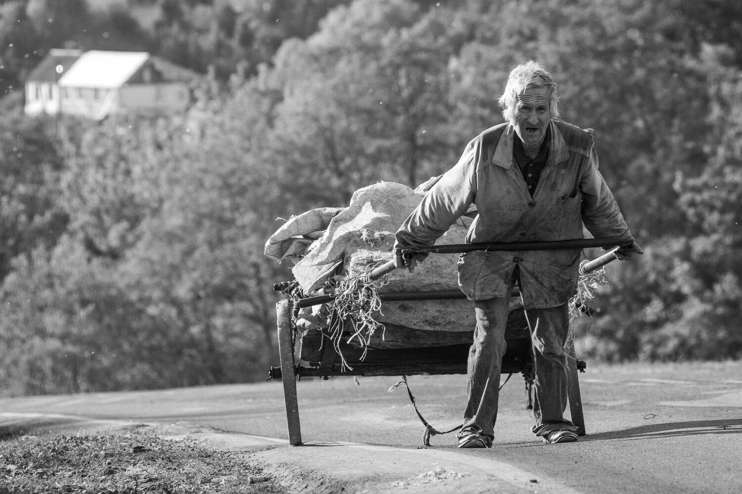 Фотография #13449045