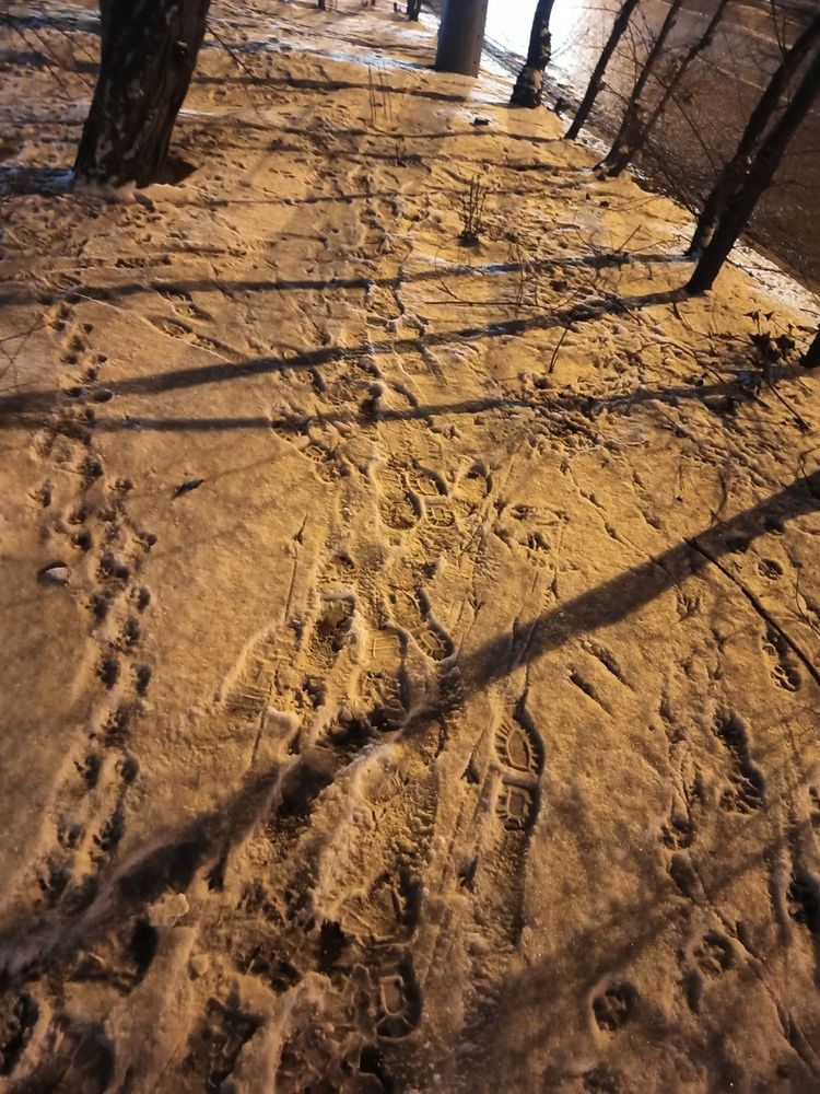 Photograph by Валерия Сопова