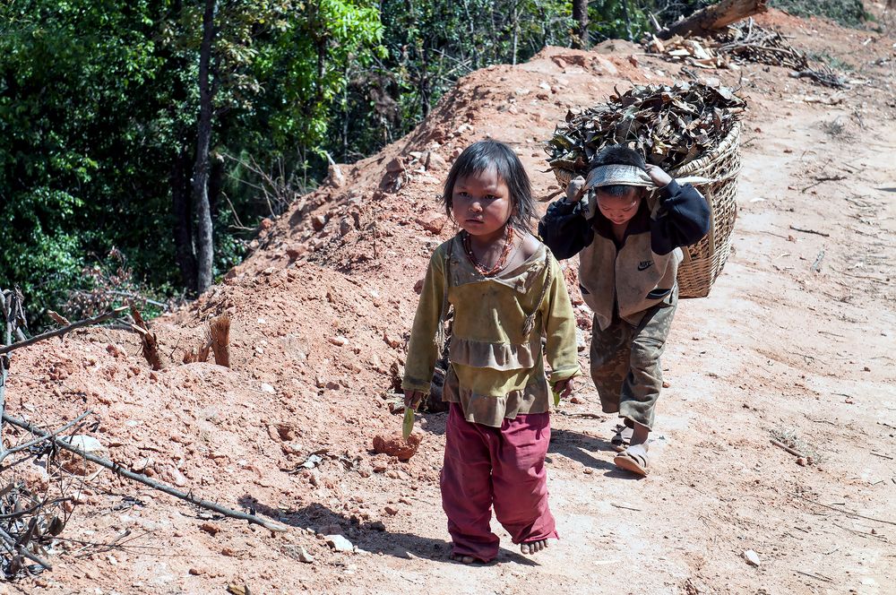 Photograph by Сергей Сынтин