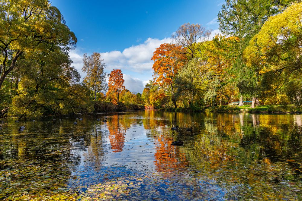 Photograph by Волков Алексей