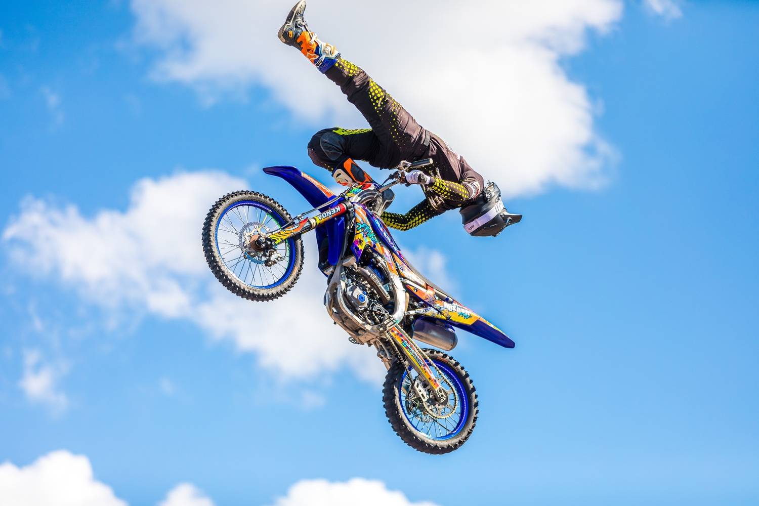 Фотография #13449207