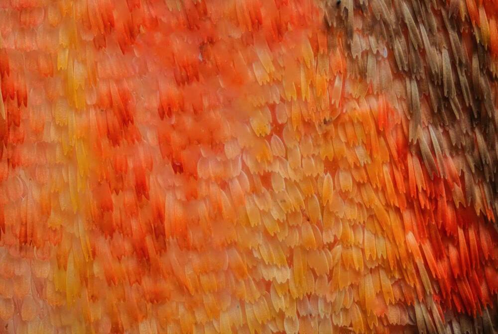 Photograph by Ngoc Hieu Bui