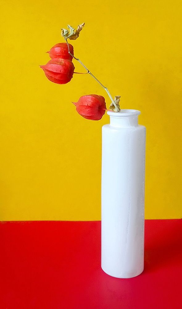 Photograph by Нина