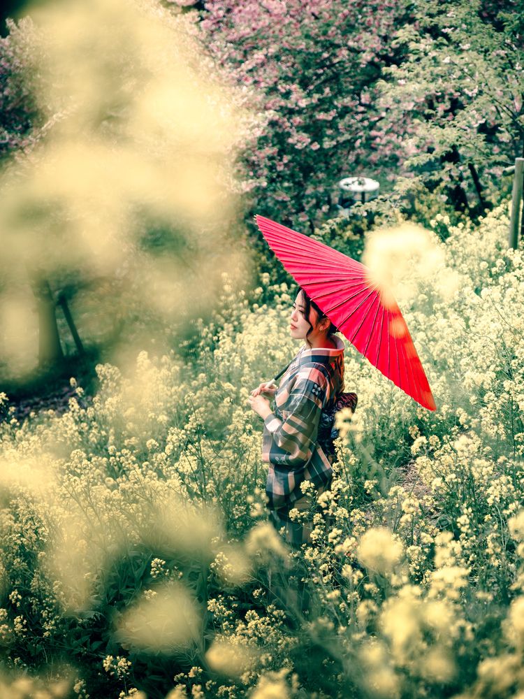 Photograph by Uesan Aliace