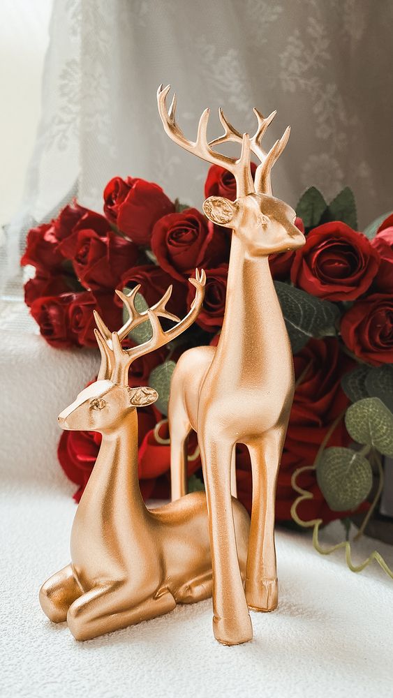 Фотография автора Maryam Jassim