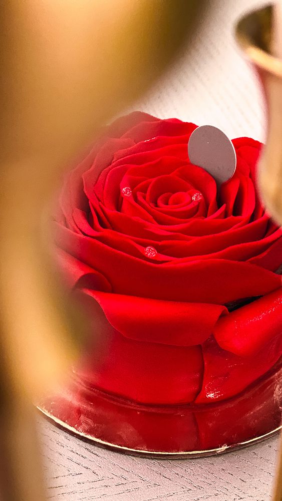 Фотография автора Maryam Jassim