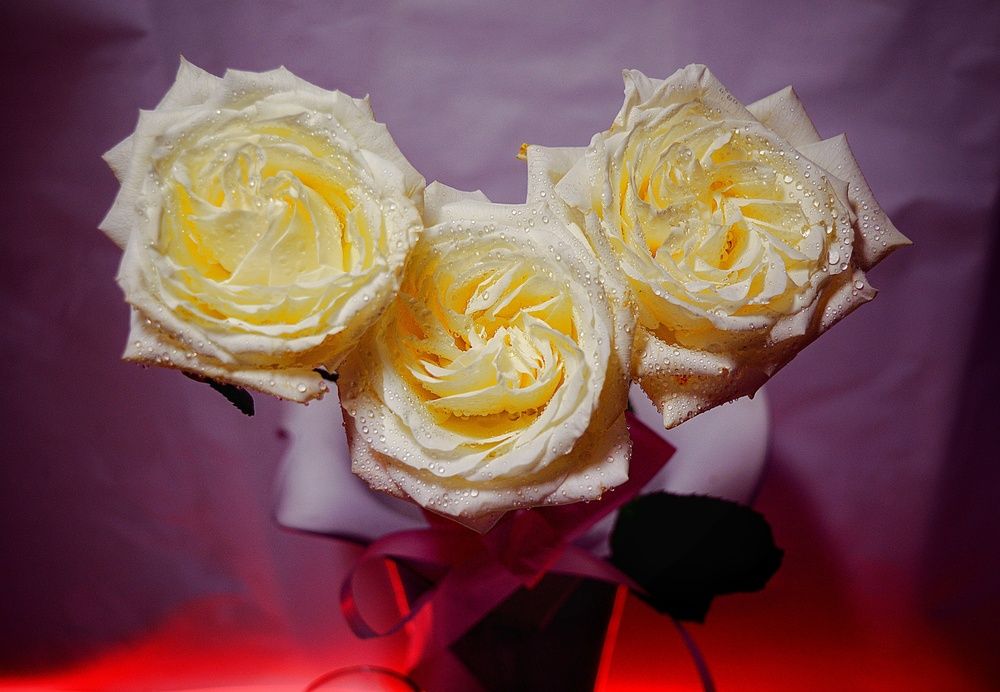 Photograph by Владимир Лапин