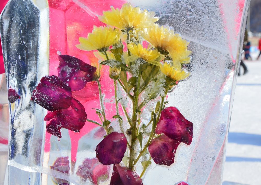 Photograph by Владимир Лапин