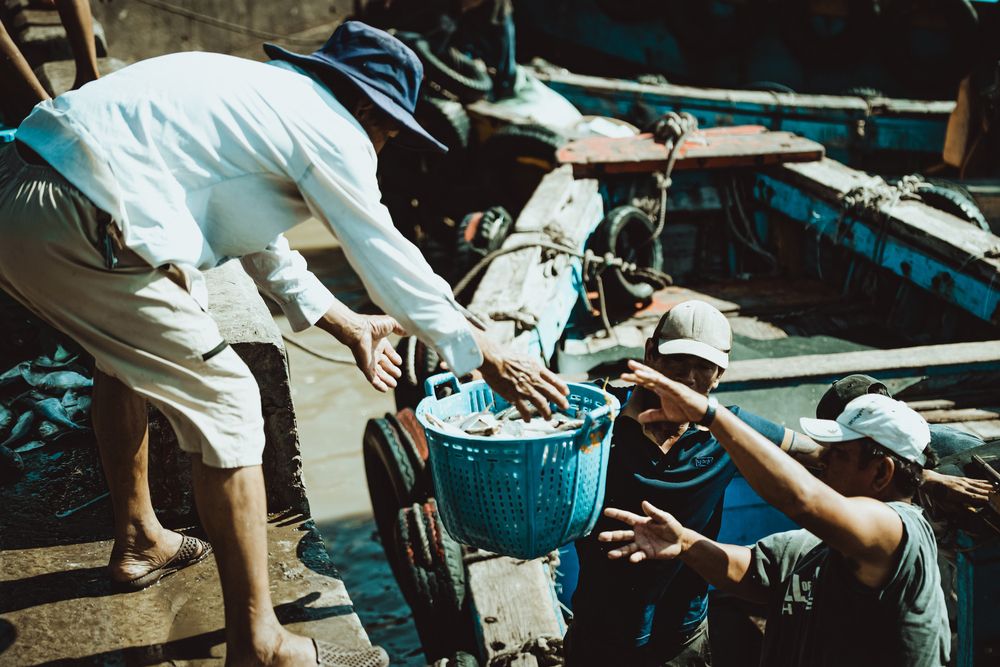 Photograph by Nguyễn Hà