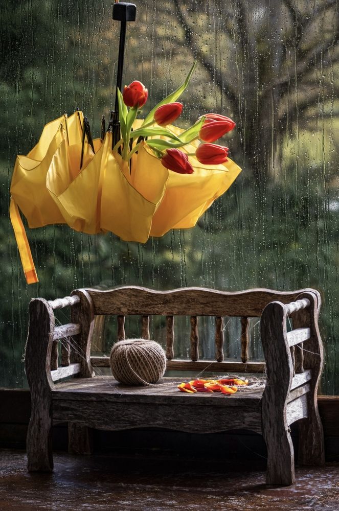 Photograph by Olga Schmidt