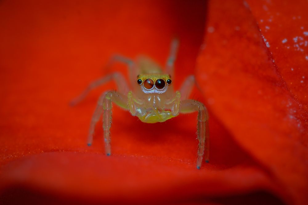 Photograph by Kasun Wickramasinghe