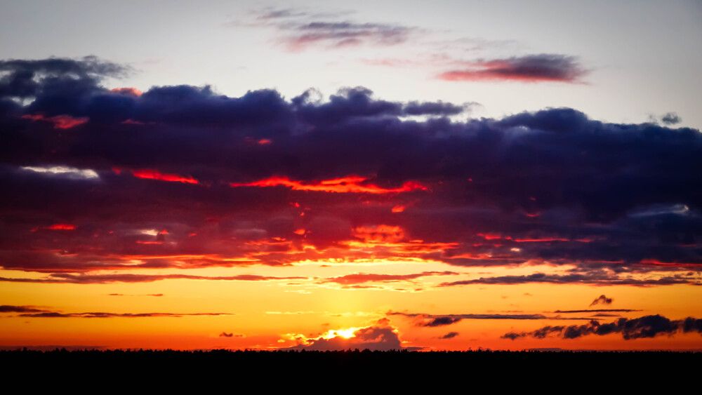 Photograph by Дмитрий Земсков