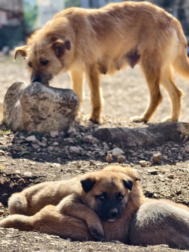 Photograph by Ульяна Митрофанова