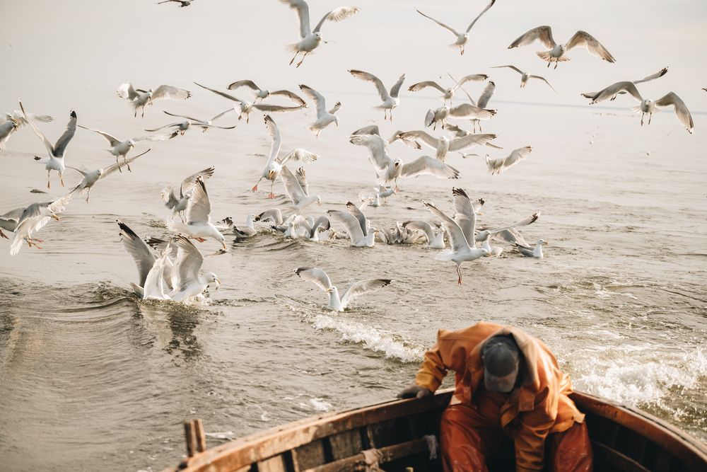 Photograph by Viktorija Jermolajeva
