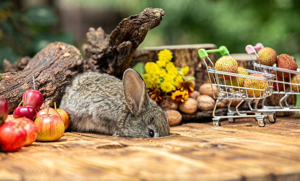 Photograph by Лупина Михаил