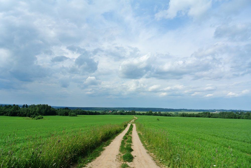 Полевая дорога