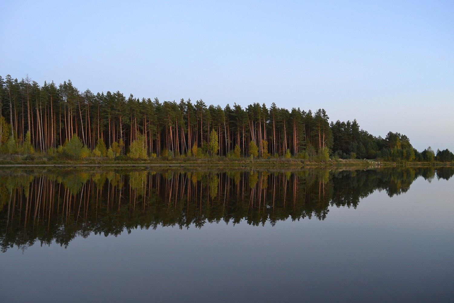 Photo #1345114