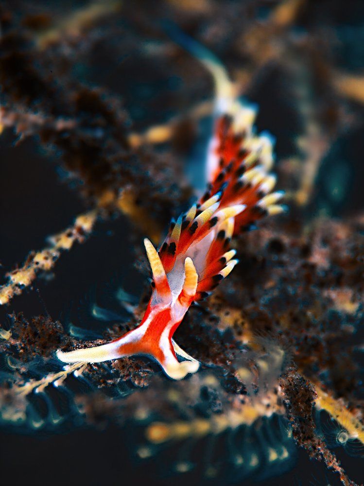 Photograph by Vadim Dyskin