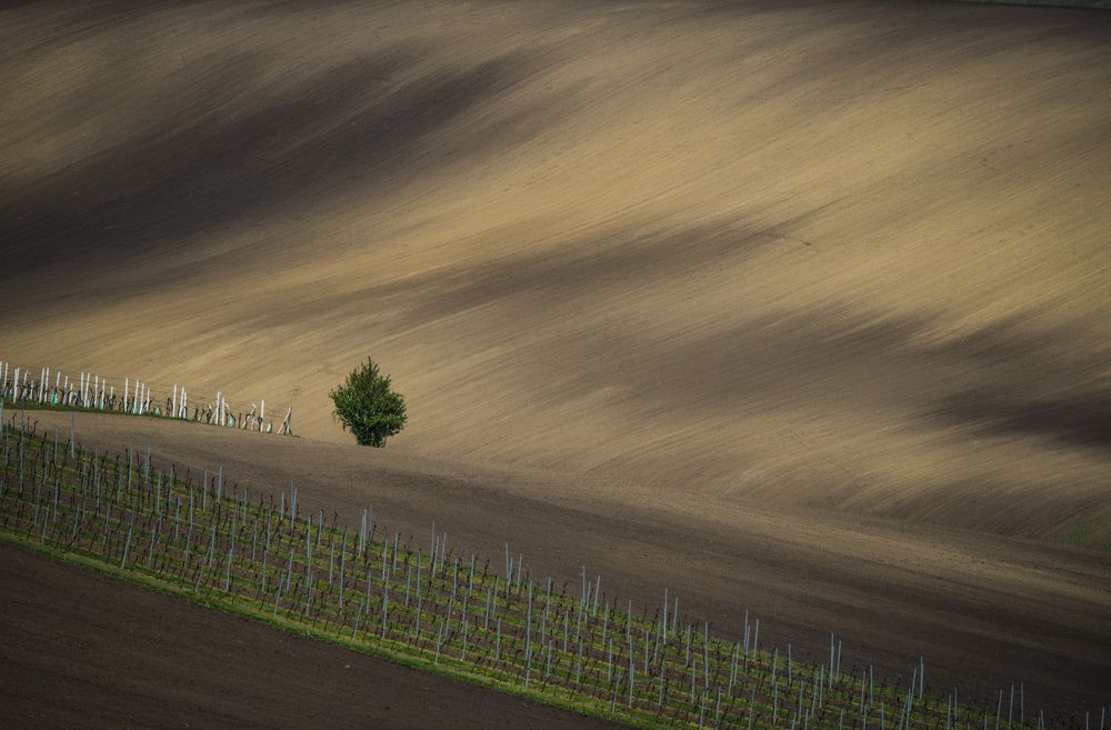 "Угол зрения"