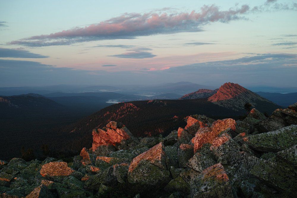 Photo #1346626