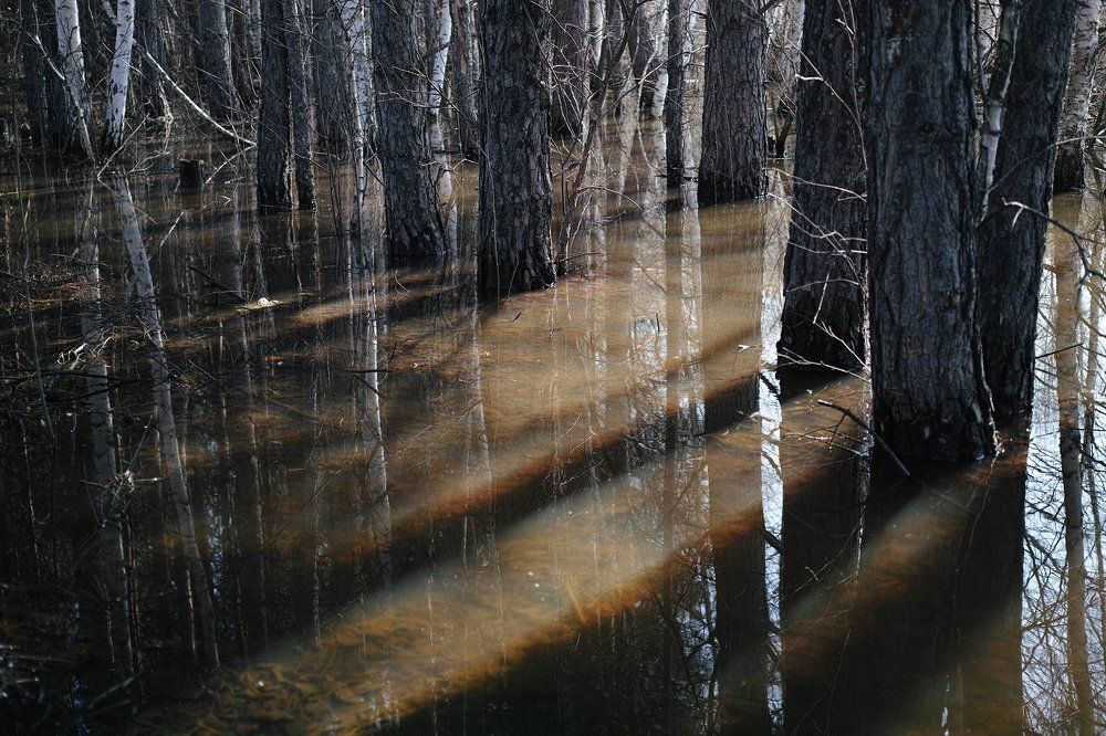 Photo #1346631