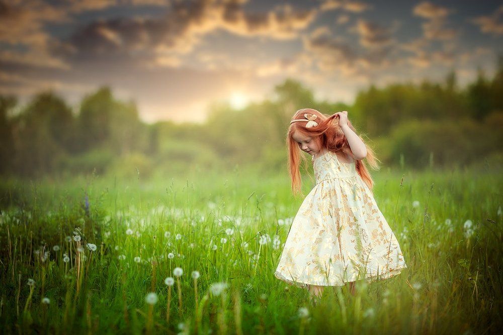 в поисках бабочки...