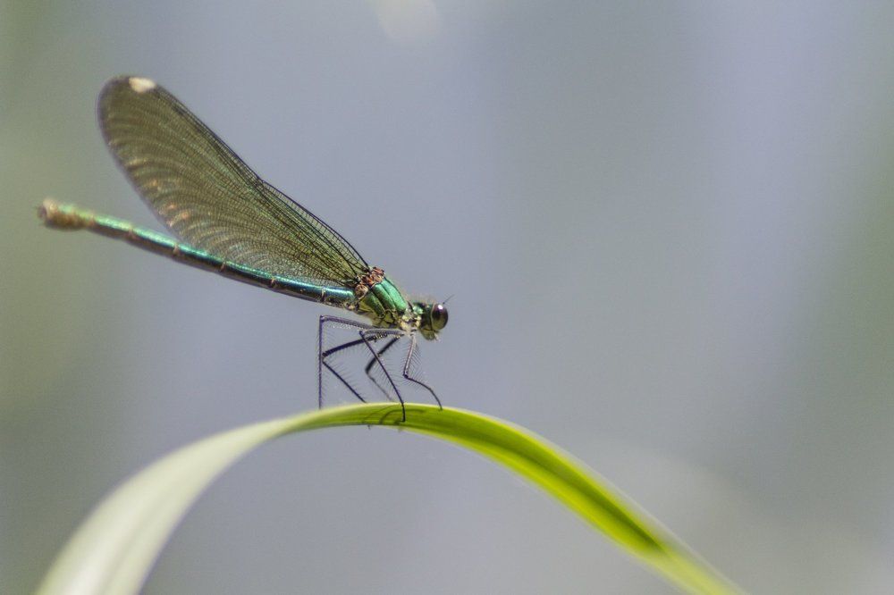 Photograph by Кирилл Ульянов