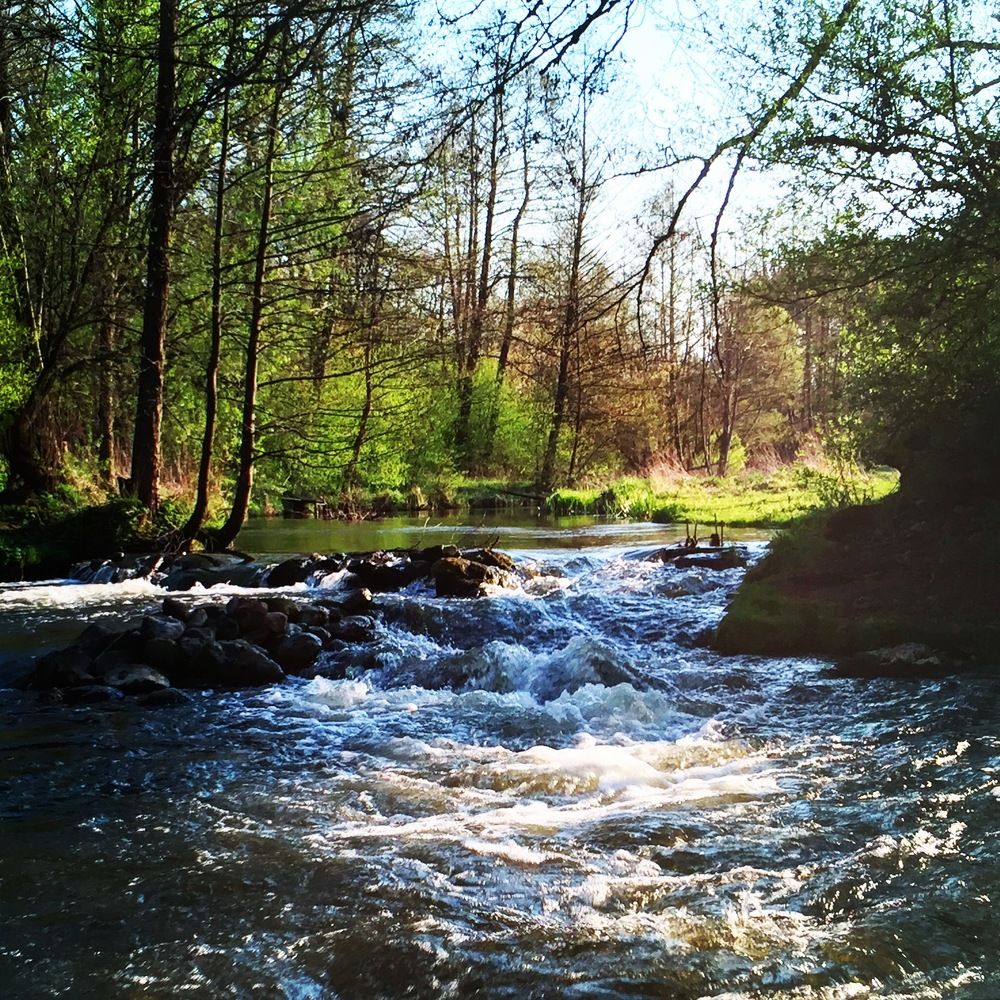 Фотография автора Евгений Глембоцкий