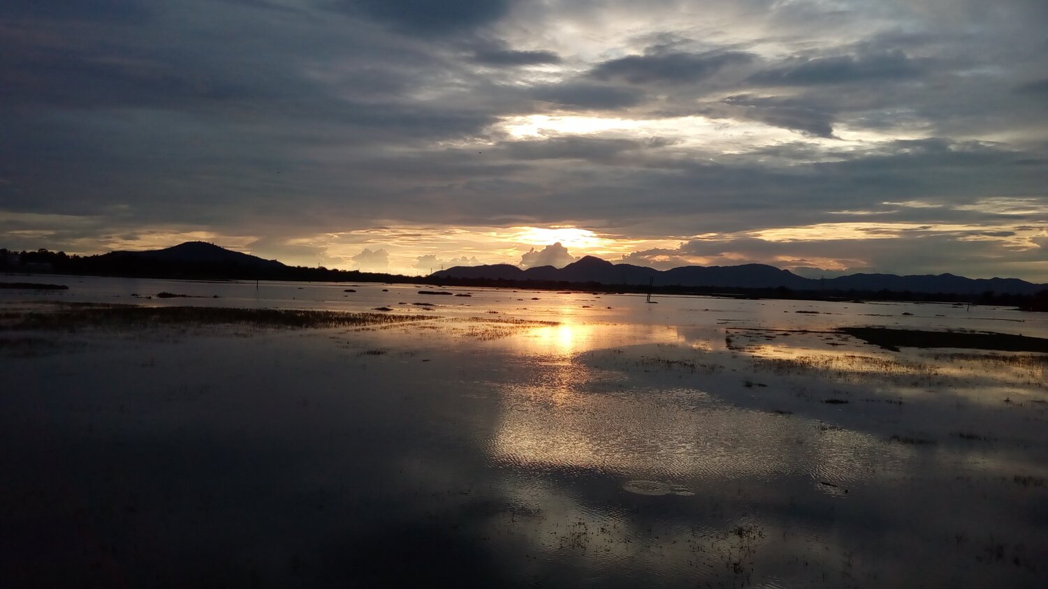 Nature's beauty