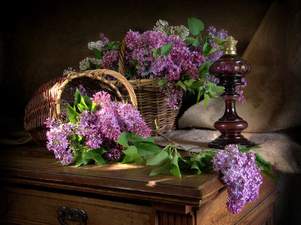 Пора сирени