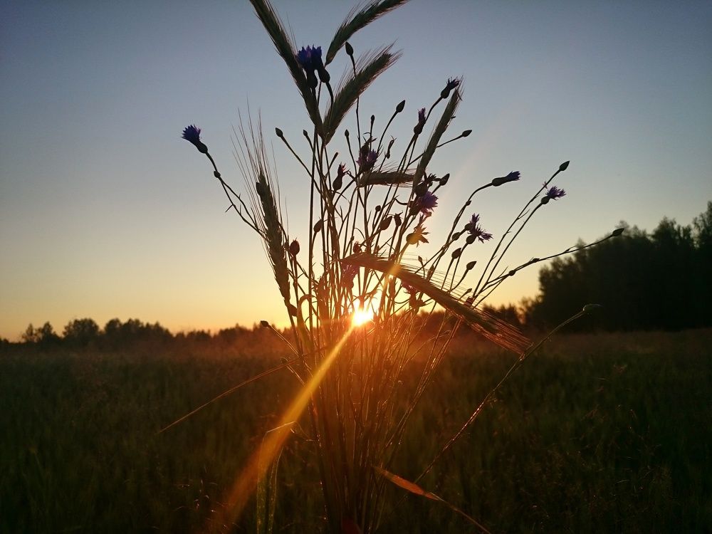 Наш рассвет / Our dawn