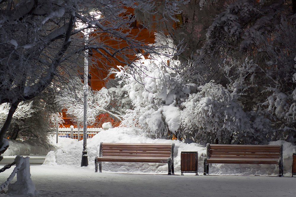 В Мурманском сквере