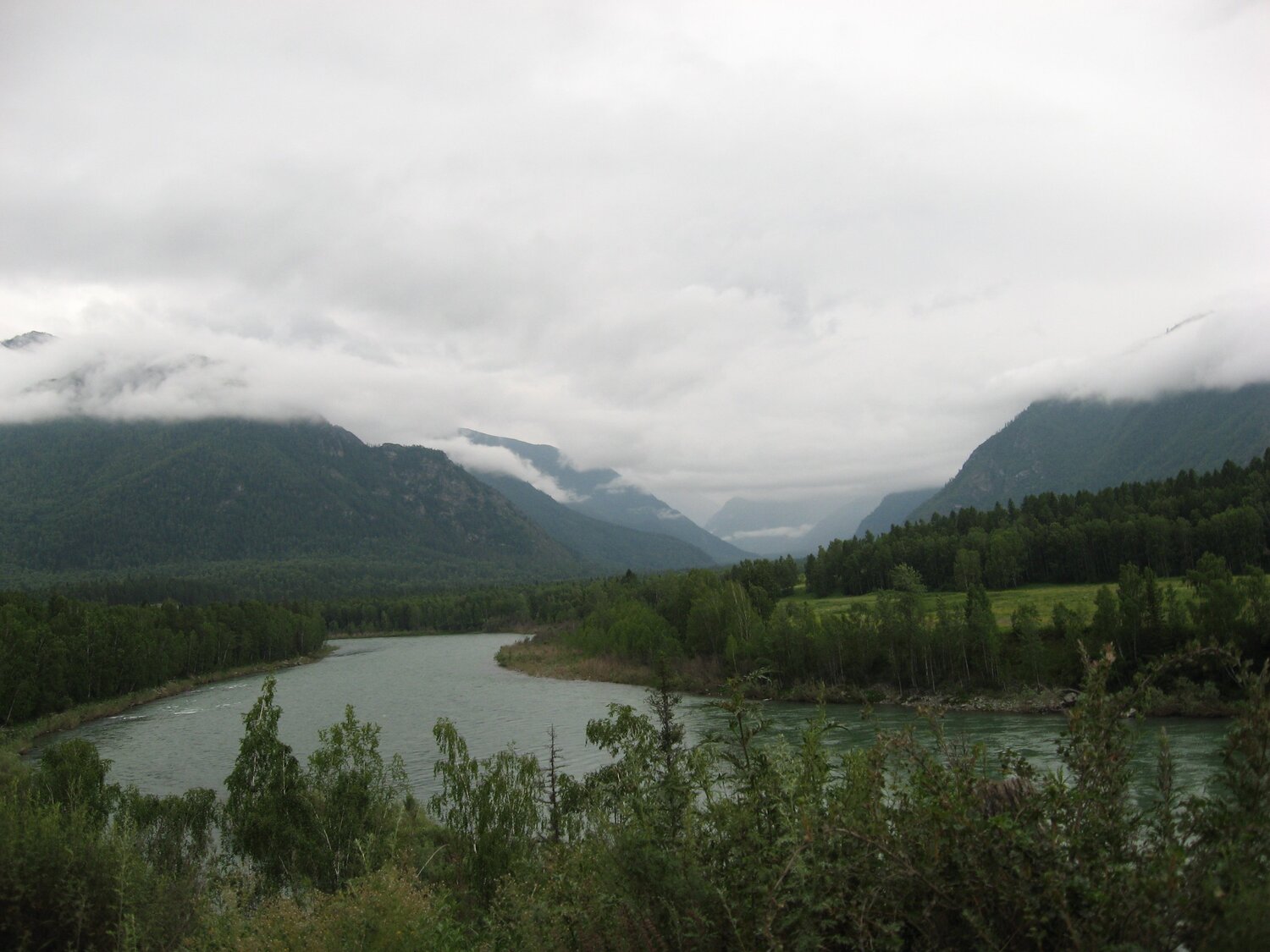Photo #1349139