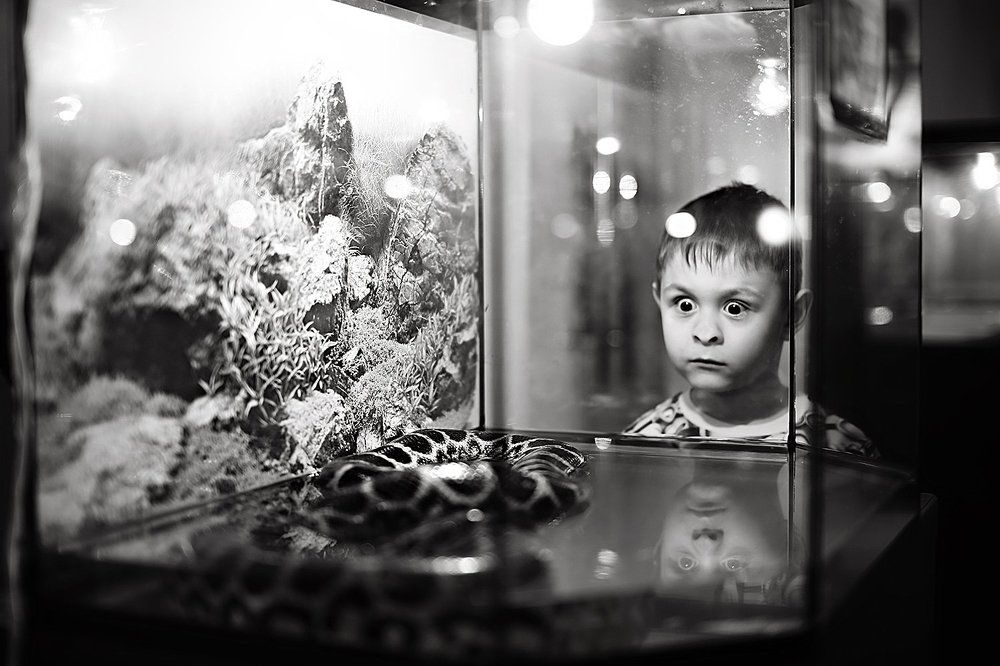 Зооэкзотариум