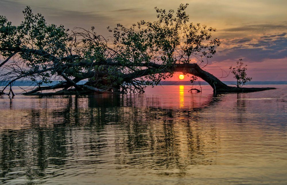 Рассвета чудное мгновенье