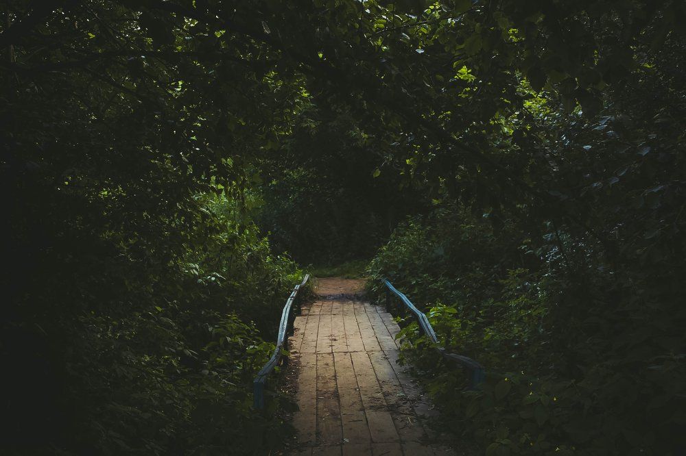 Photograph by Элиза