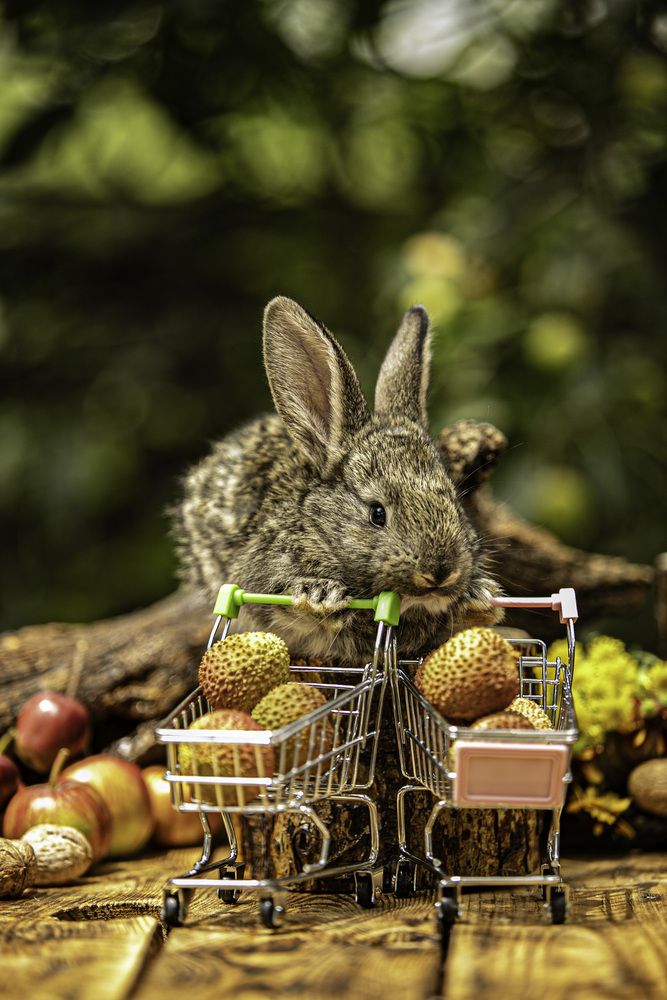 Photograph by Лупина Михаил