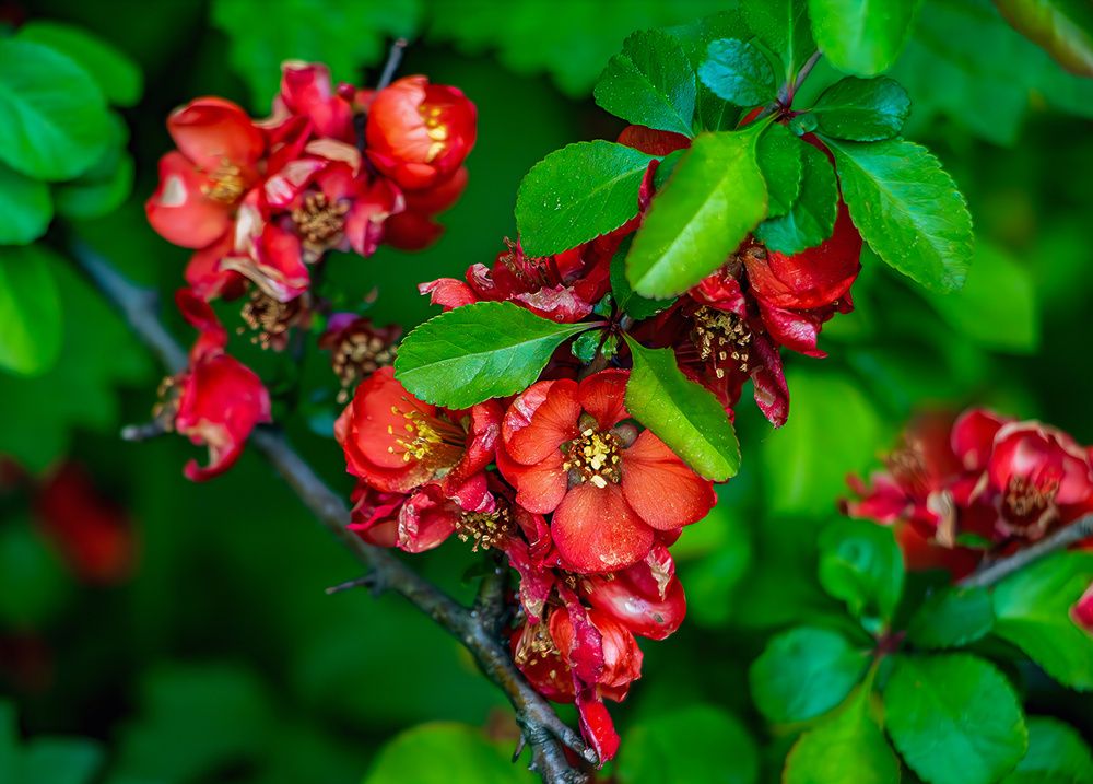 Photograph by Nadezhda Khrustaleva