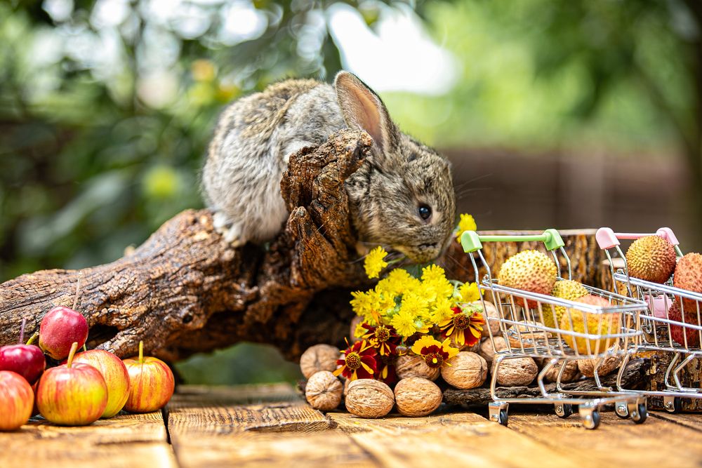 Photograph by Лупина Михаил