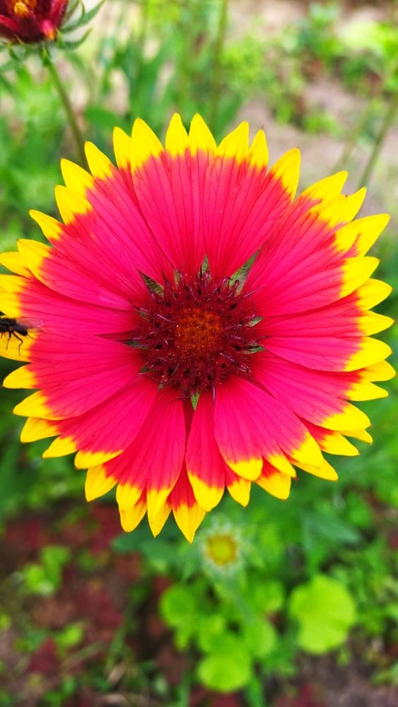 Photograph by Юлия Морозова